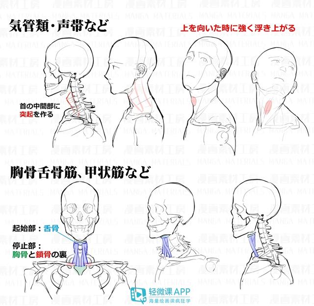黄鹤楼动漫 黄鹤楼动漫