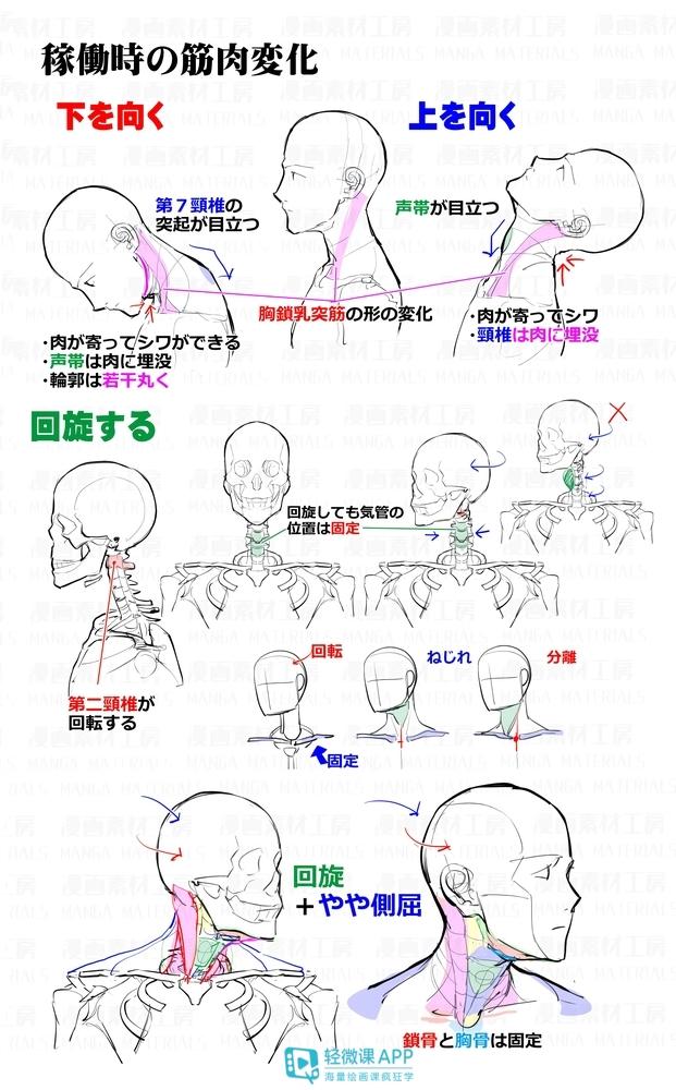 黄鹤楼动漫 黄鹤楼动漫