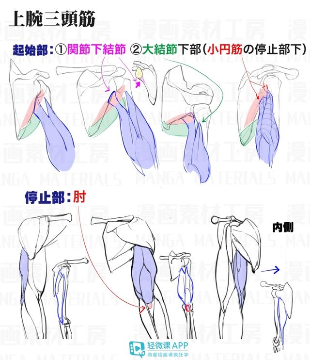 黄鹤楼动漫 黄鹤楼动漫