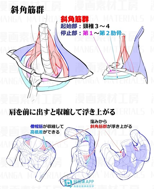 黄鹤楼动漫 黄鹤楼动漫