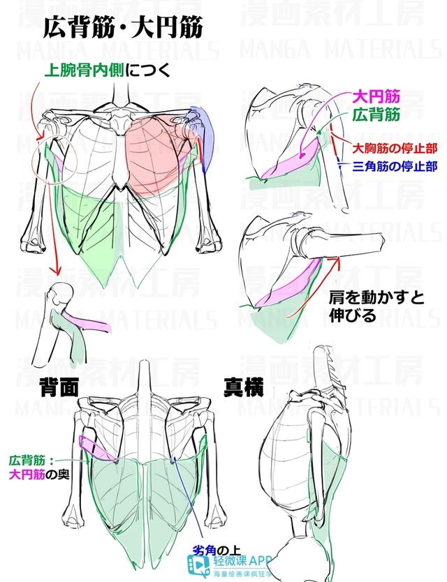 黄鹤楼动漫 黄鹤楼动漫