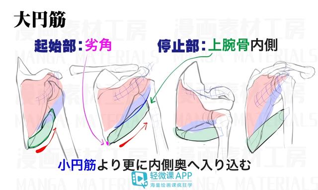 黄鹤楼动漫 黄鹤楼动漫