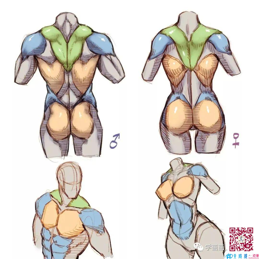 黄鹤楼动漫 黄鹤楼动漫
