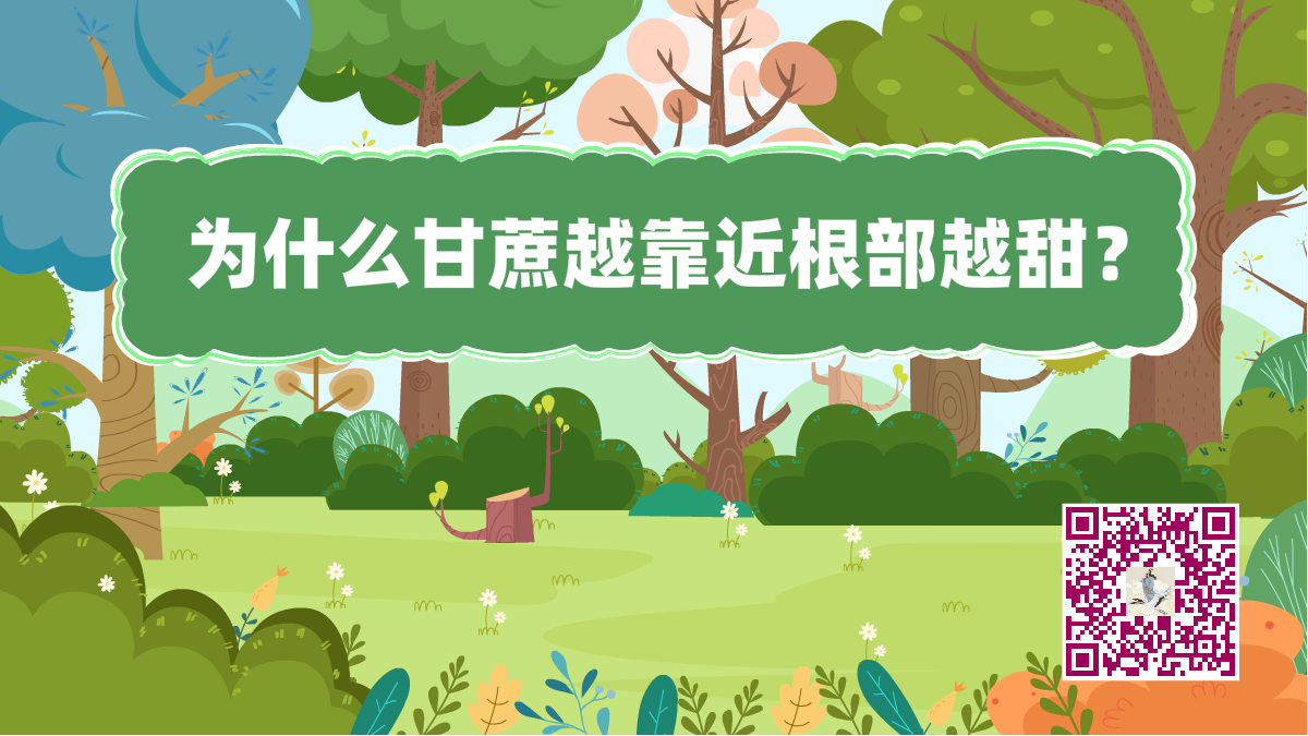 十万个为什么标题(甘蔗根部)1200.png 十万个为什么标题(甘蔗根部)1200.png