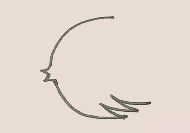 下面的弧线,再画上几段弧线作为装饰。.png 下面的弧线,再画上几段弧线作为装饰。.png