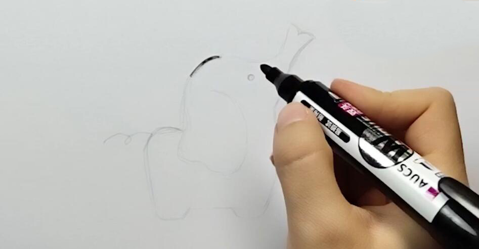 一、先用铅笔描出大象的形象.jpg