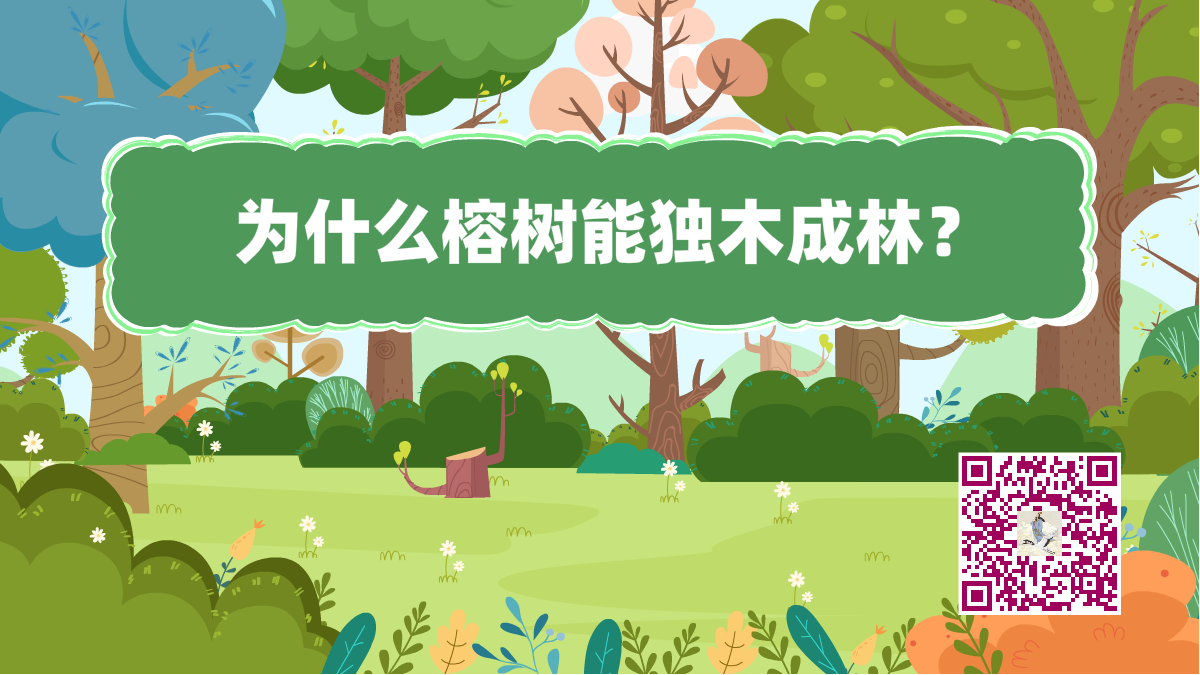 十万个为什么标题(榕树成林)1200.png 十万个为什么标题(榕树成林)1200.png
