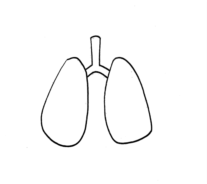 肺炎简笔画 肺炎简笔画