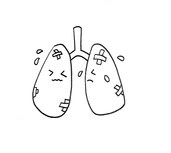 涂色了,给双肺涂上深红色,动脉涂上黄色,汗水涂蓝色,简单的肺炎简笔画