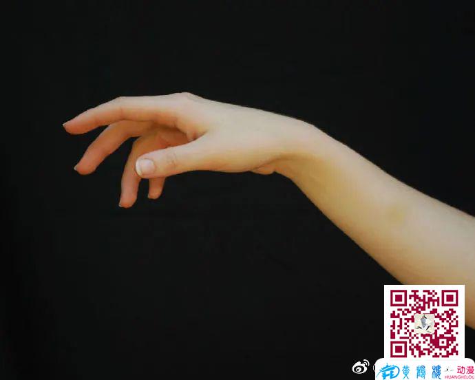 手画不好,有什么办法可以练手的画法吗?
