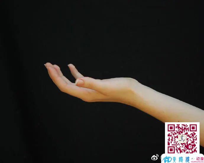 手画不好,有什么办法可以练手的画法吗?