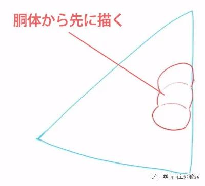 人体透视关系