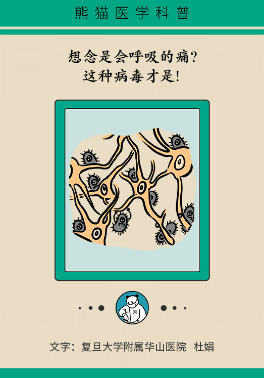 带状孢疹病毒