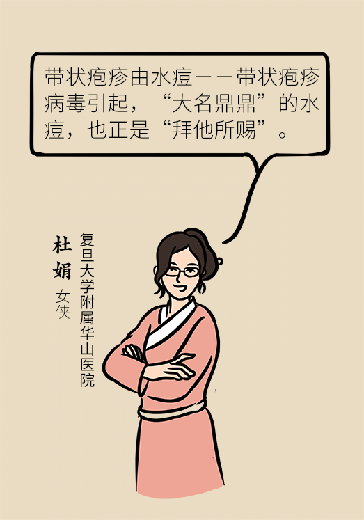 带状孢疹病毒