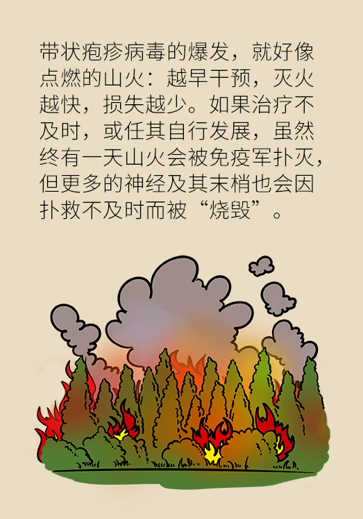 带状孢疹病毒