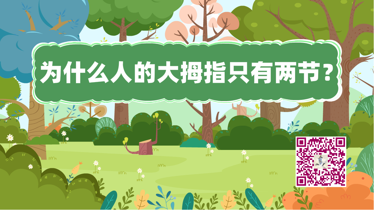 十万个为什么标题(大拇指两节)1200.png 十万个为什么标题(大拇指两节)1200.png