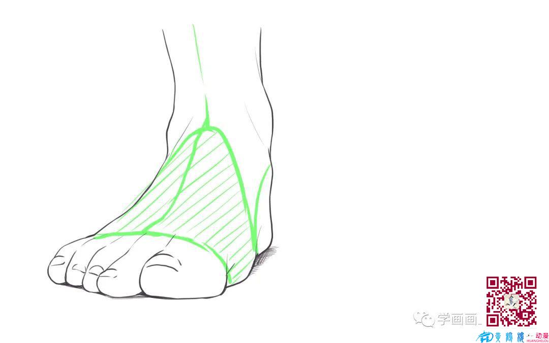 脚怎么画?
