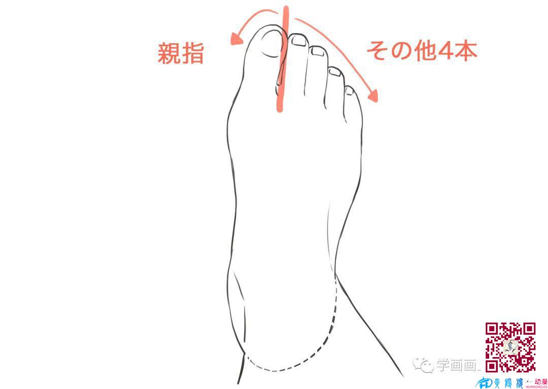 脚怎么画?