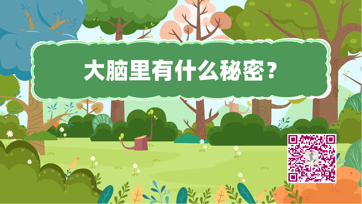 十万个为什么标题(大脑秘密)1200.png 十万个为什么标题(大脑秘密)1200.png