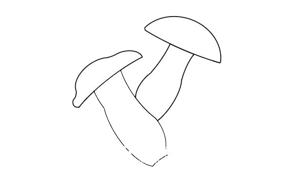 杏鲍菇简笔画怎么画杏鲍菇简笔画步骤教程