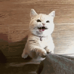 来帮帮动画人.gif 来帮帮动画人.gif