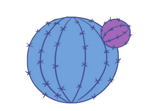 仙人掌简笔画四.jpg 仙人掌简笔画四.jpg