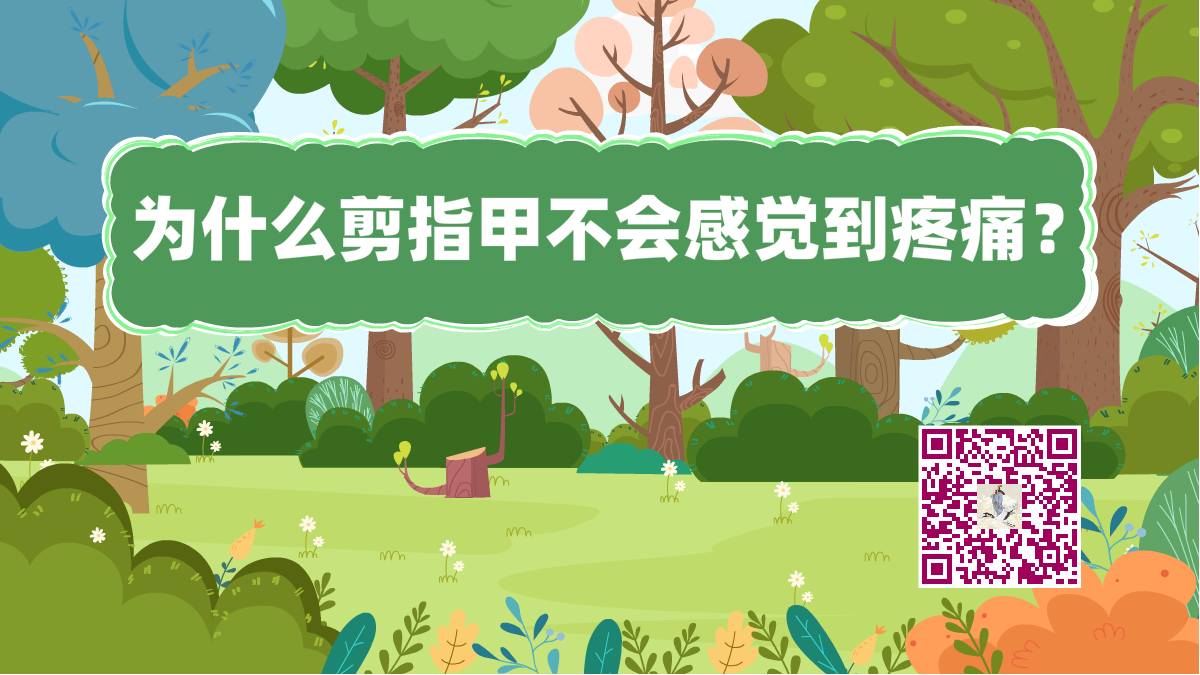 十万个为什么标题(剪指甲)1200.png 十万个为什么标题(剪指甲)1200.png