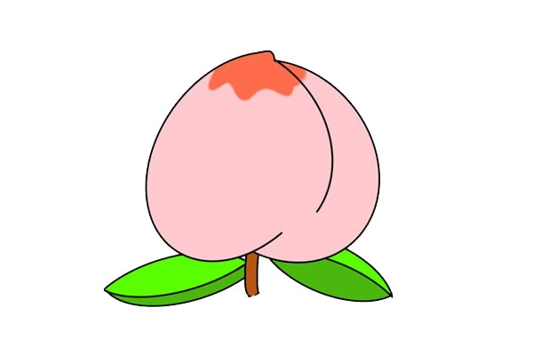 桃子简笔画怎么画桃子简笔画步骤教程