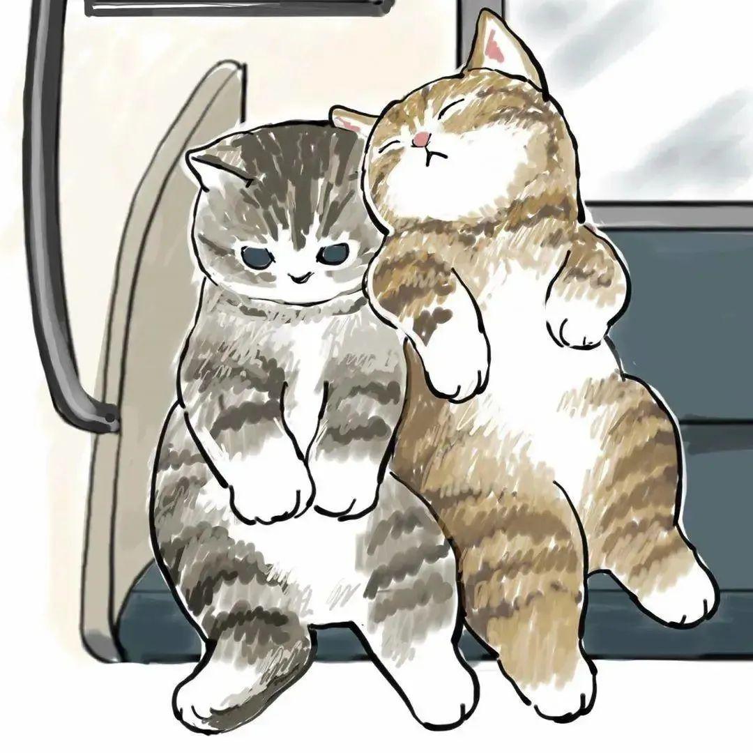 日本胖猫疫情期间火爆网络!撸猫又掀起一片狂潮!