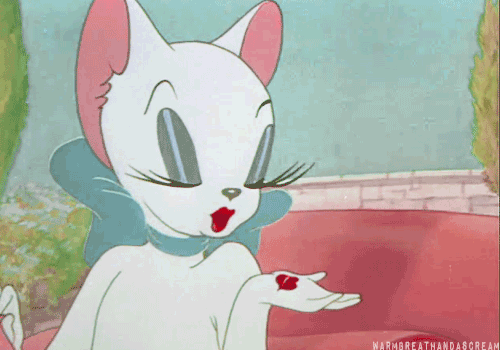 性感美丽的白猫,.gif 性感美丽的白猫,.gif