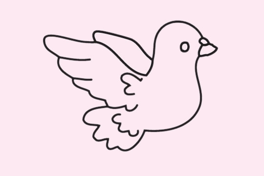 鸽子简笔画图片