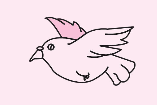 鸽子简笔画图片