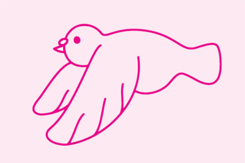 鸽子简笔画大图