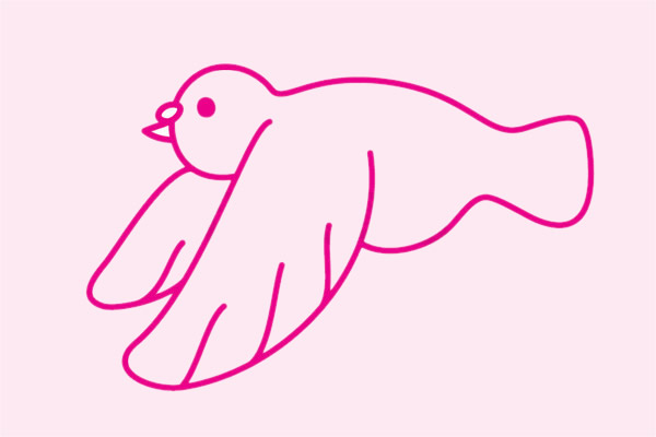 鸽子简笔画图片