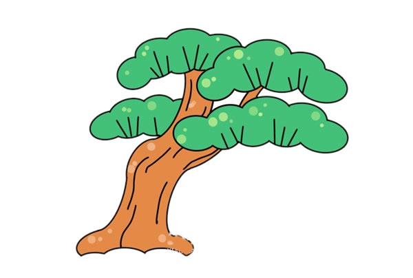 绿色松树简笔画步骤教程