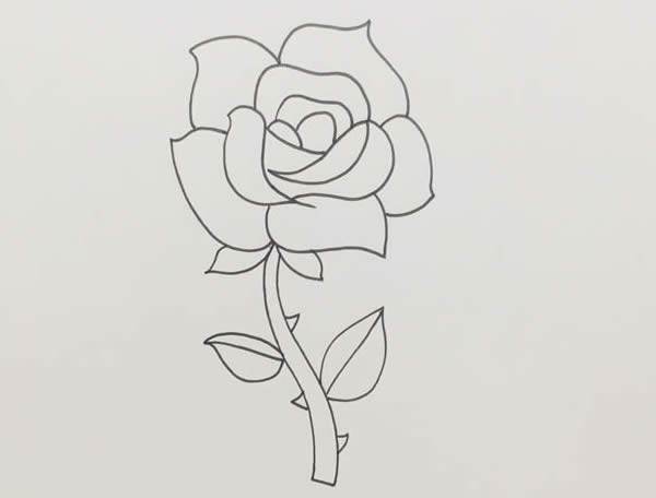 玫瑰花简笔画怎么画玫瑰花简笔画步骤教程