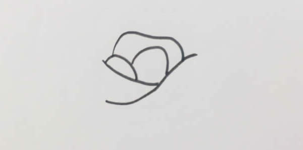 盛开玫瑰花简笔画