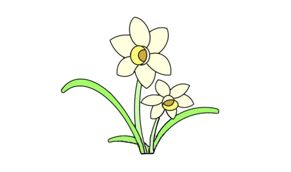水仙花简笔画步骤教程