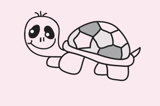 乌龟简笔画图片