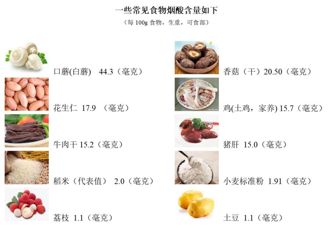 烟酸科普动漫制作