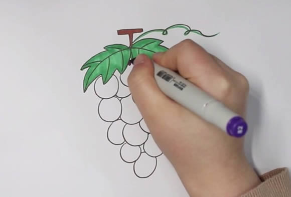 葡萄简笔画 葡萄简笔画