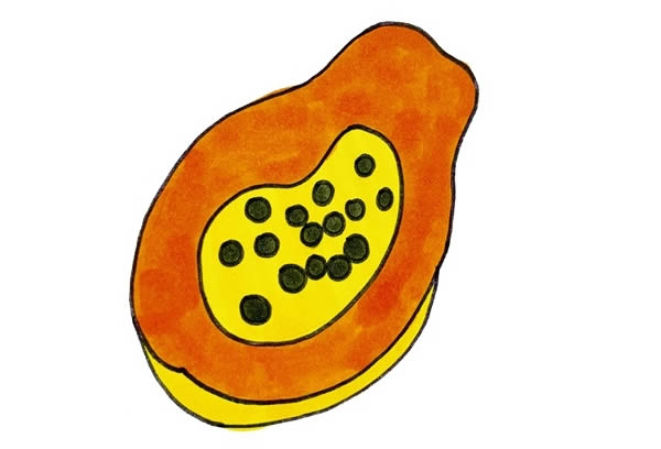 木瓜简笔画 木瓜简笔画图片_木瓜简笔画彩色画法步骤图片
