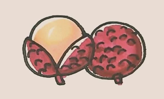 荔枝简笔画 荔枝简笔画图片