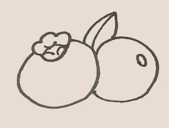 蓝莓简笔画 蓝莓简笔画图片