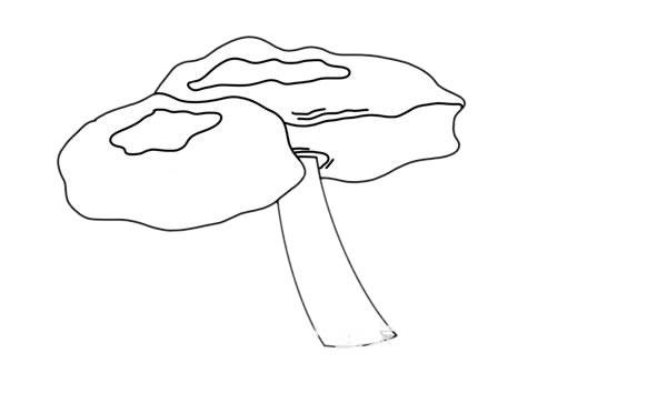 蘑菇简笔画 密环菌简笔画画法步骤图片