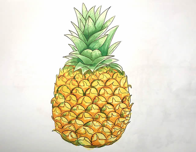 菠萝简笔画 菠萝简笔画画法步骤图片