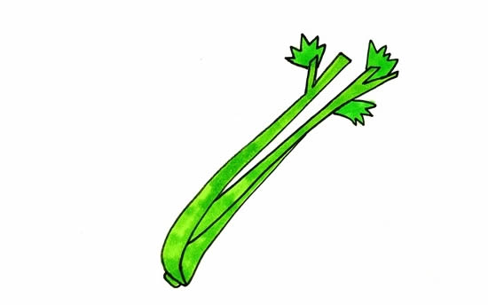 芹菜简笔画 芹菜简笔画彩色_芹菜简笔画画法步骤图片教程