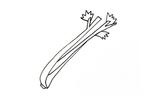 芹菜简笔画 芹菜简笔画彩色_芹菜简笔画画法步骤图片教程