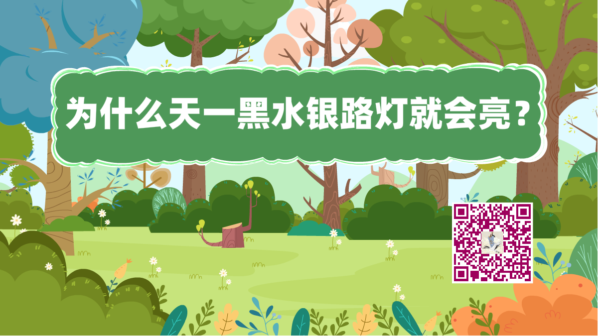 十万个为什么标题（路灯会亮）1200.png