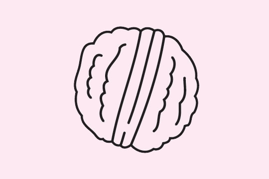核桃简笔画怎么画,核桃简笔画步骤教程 核桃简笔画图片